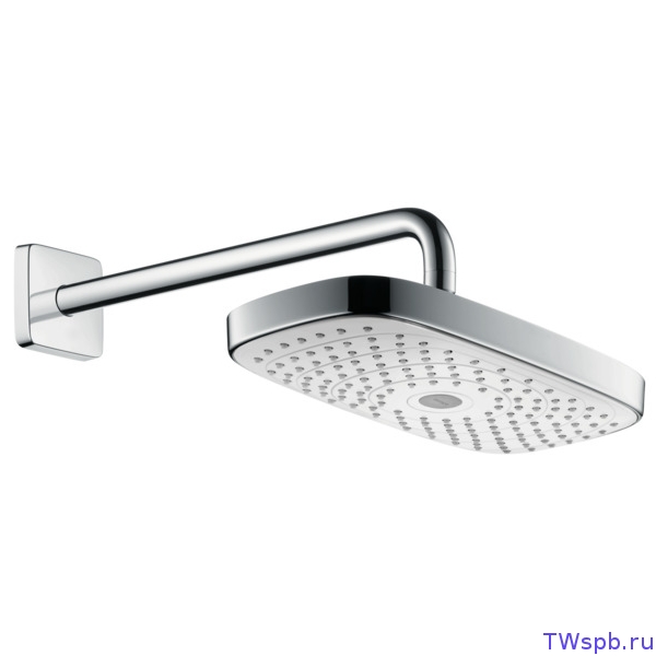 Hansgrohe Raindance 27385400 верхний душ