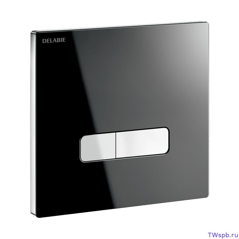 Смывная панель управления для унитаза, Delabie 763030