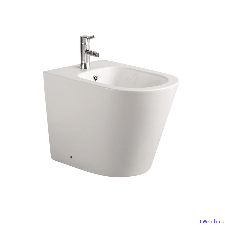 AQ1058-00 Aquatek Вега биде напольное