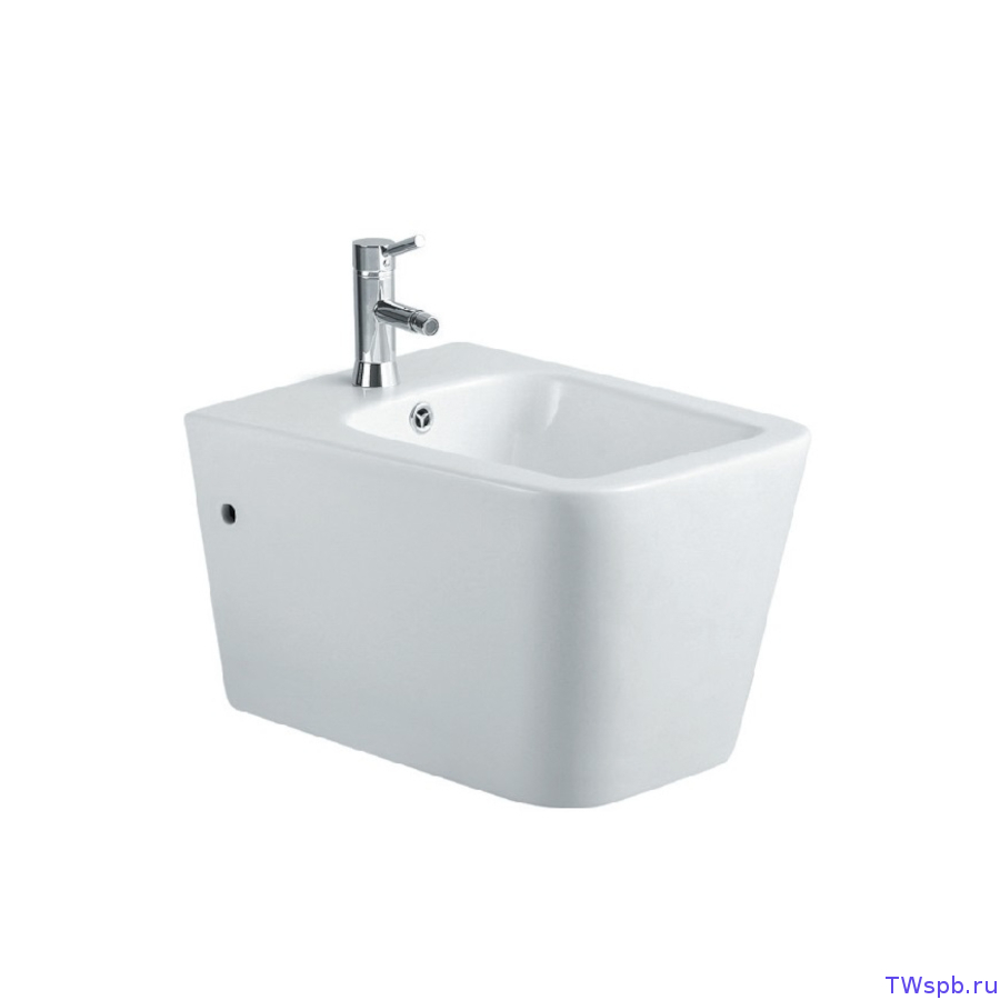 AQ0506N-00 Aquatek Либра New биде подвесное