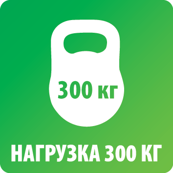 Нагрузка 300 кг